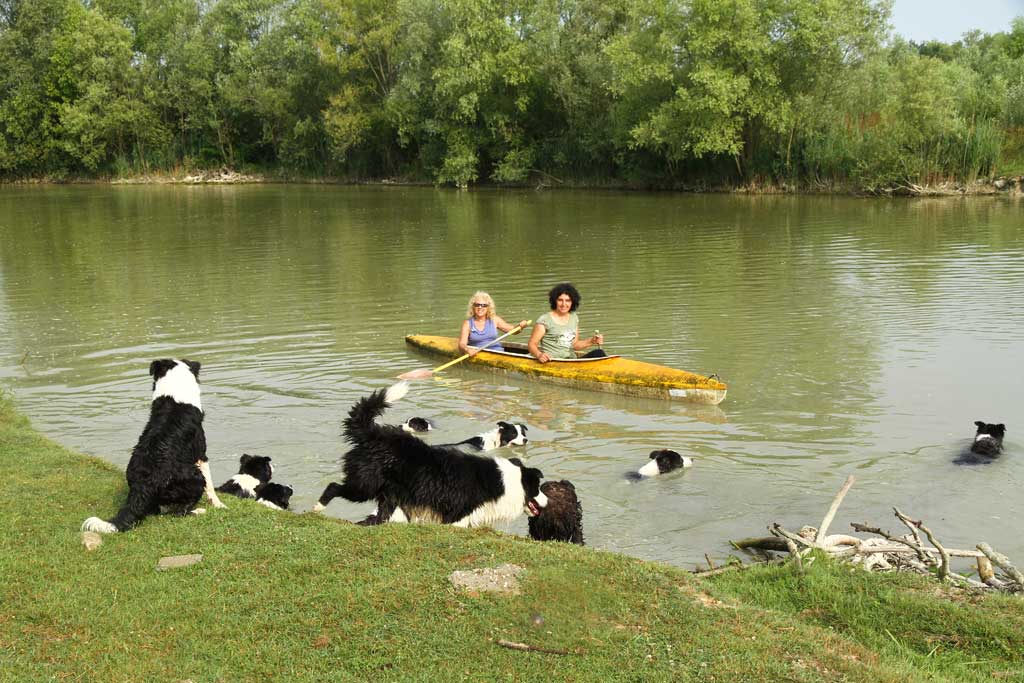 Pensione Amici del Cane Ranch