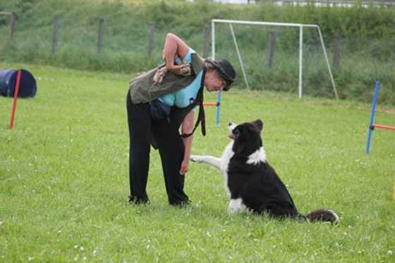 Allevamento_Border_Collie_Polly