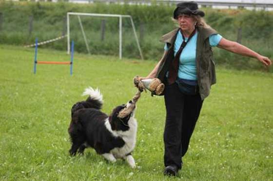 Allevamento_Border_Collie_Polly