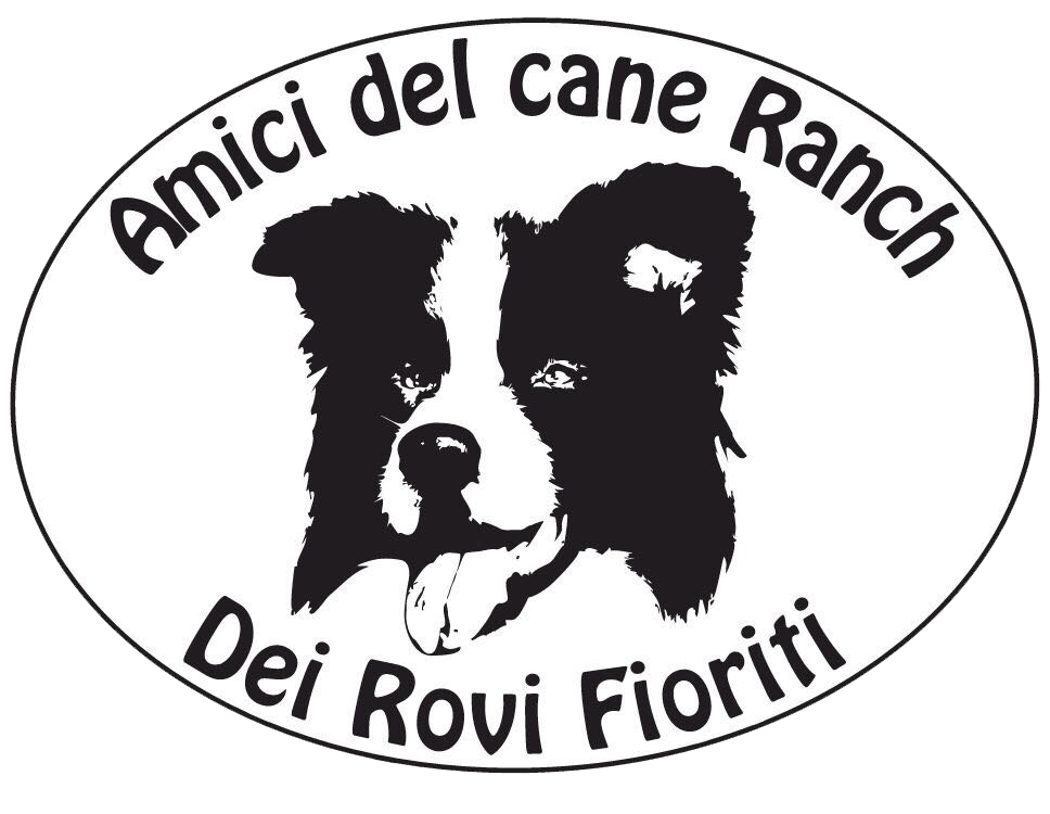 Logo Allevamento Border Collie dei Rovi Fioriti