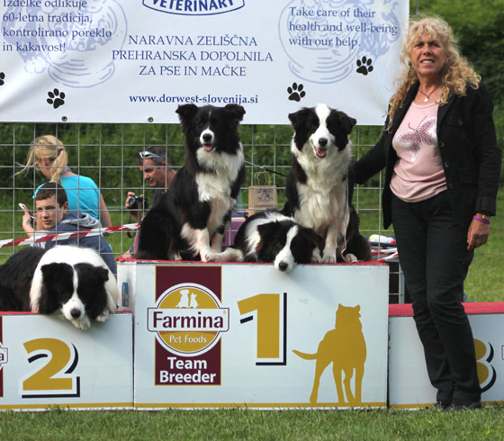 Allevamento Border Collie dei Rovi Fioriti