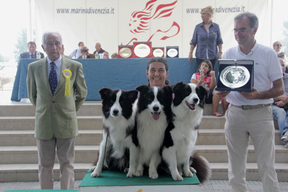 Allevamento Border Collie dei Rovi Fioriti