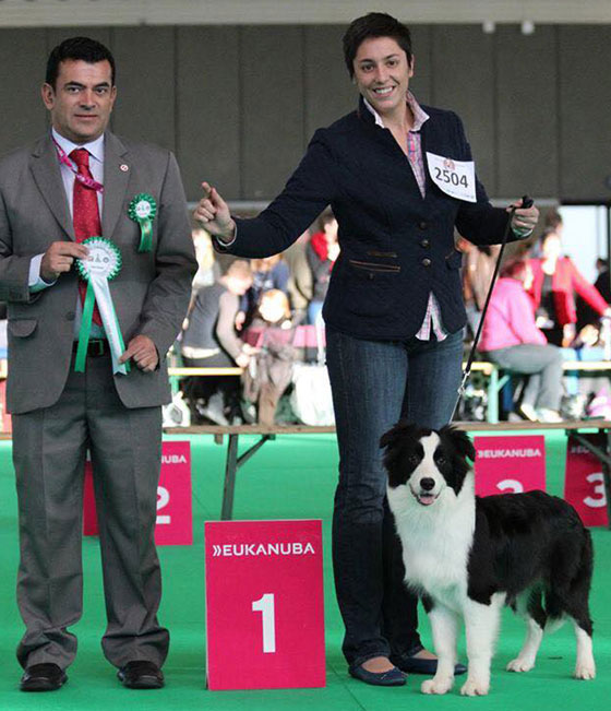 Allevamento Border Collie dei Rovi Fioriti